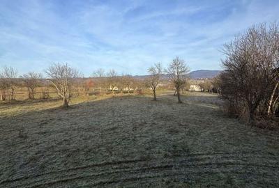 Casă cu 3 camere în Satu Nou de Jos - 6