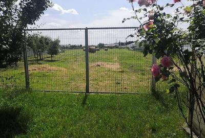 Teren de 12000 mp, în Ierbuș - 2