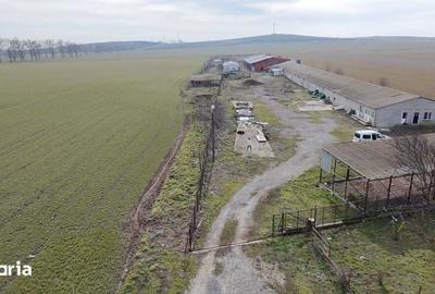 Teren de 4300 mp, în Jurilovca - 7