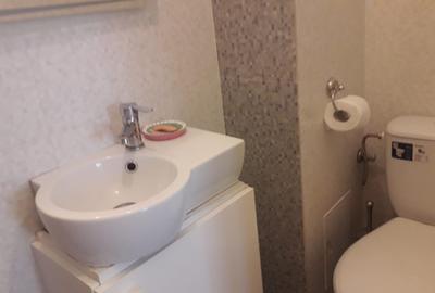 Apartament 3 camere, langa Parcul Herastrau Apartament 3 camere, langa Parcul Herastrau - 10