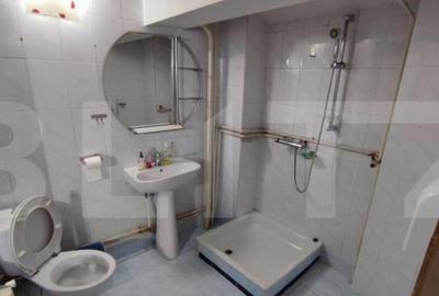 Casă cu 7 camere cu Teren 235 Mp în Brazda lui Novac - 9