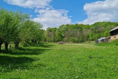 Spațiu comercial, în Ștubeie Tisa - 3