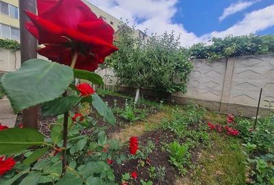 Poveste saseasca la umbra vitei de vie, cu crama si gradina cu flori, Central Co - 21