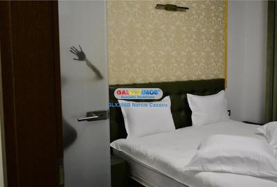 Mosilor Foisorul de Foc vila de inchiriat pentru activitate hotel - 21