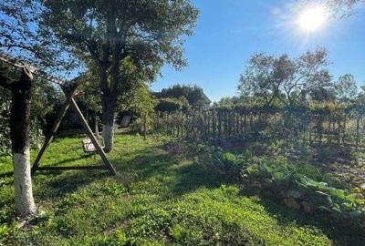 Casa individuala + anexa si gospodarie , 247 mp , 3 nivele, 1669 gradina, Gilau - 13