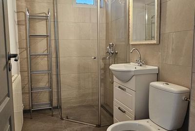 Apartament cu 3 camere nedecomandat în Dosu Bricii - 6