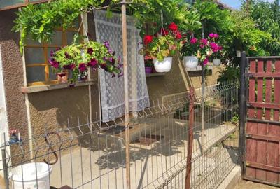 Casă cu 2 camere în Șimian - 2