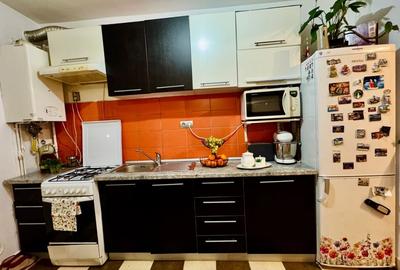 Refugiul tau de liniste la marginea padurii!apartament cu gradina si parcare Refugiul tau de liniste la marginea padurii!apartament cu gradina si parcare - 7