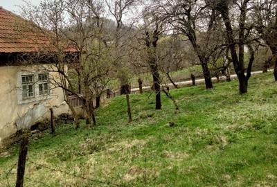 Spațiu comercial, în Mățău - 4