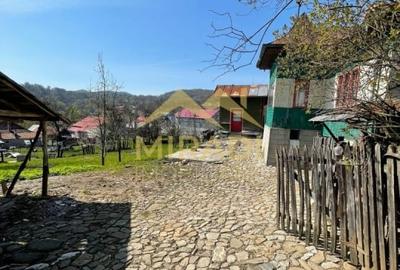 Casă cu 5 camere cu Teren 1990 Mp în Adunați - 4