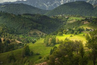 Casă individuală cu 9 camere cu Teren 1000 Mp în Peștera - 10