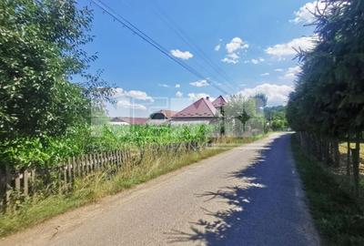 Casă individuală cu 2 camere cu Canalizare în Cacica - 10