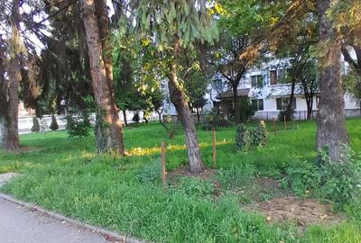 Teren de 520 mp, în Ultracentral - 8