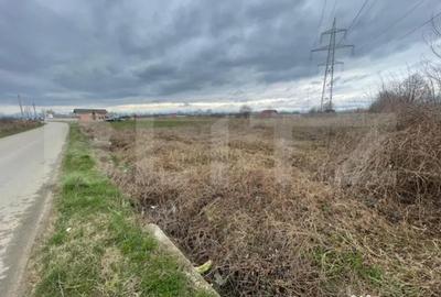 Teren de 1100 mp, în Abator - 1