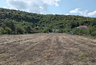 Spațiu comercial, în Căprioara - 3