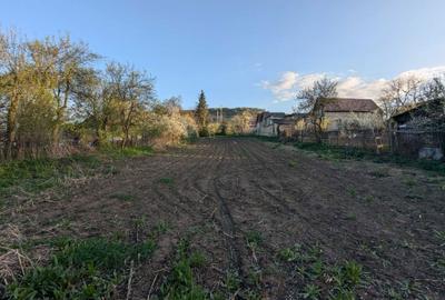 Spațiu comercial, în Șoimeni - 8