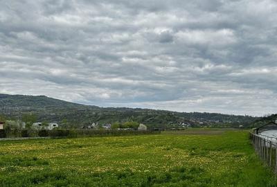 Teren de 4000 mp, în Oituz - 4