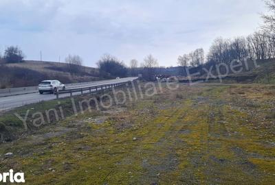 Teren de 10141 mp, în Morărești - 9