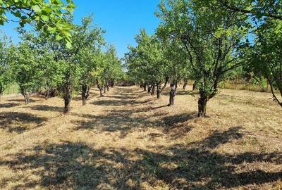 Spațiu comercial, în Pietrăria - 1