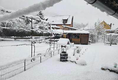 Casa de vanzarea - 9