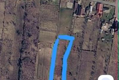 Teren de 3067 mp, în Țuțora - 3