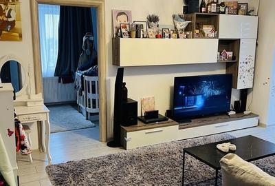 Apartament 2 camere renovat, bloc vila zona Timis Triaj - 2