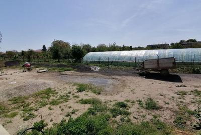 Casa P+1 in comuna 1 Decembrie - str. Victoriei - 14