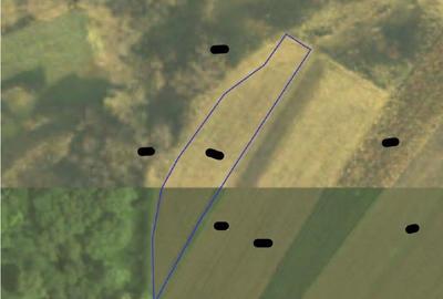 Teren de 1300 mp, în Bosanci - 2