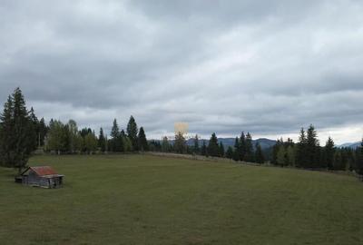 Teren 2804 mp, la munte! In Bucovina Fundu Moldovei! - 2