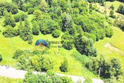 TEREN Izvoru Muntelui, langa orasul BICAZ - 8