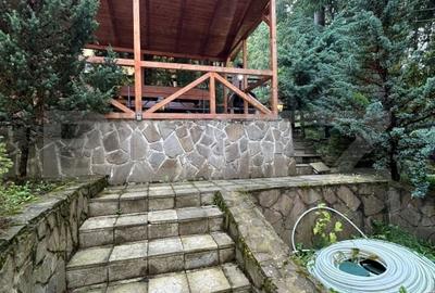 Vila zona superba Predeal - 3