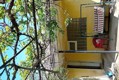 Casă cu 3 camere cu Teren 1250 Mp în Valea Stanciului - 5