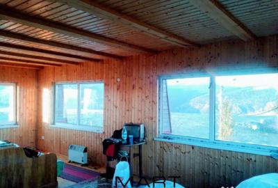 Casă cu 5 camere cu Teren 2000 Mp în Paltin - 7