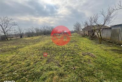 Casă cu 4 camere cu Teren 4489 Mp în Murighiol - 4