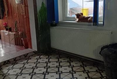 Casă cu 2 camere cu Teren 200 Mp în Central - 1