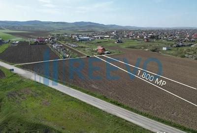 Teren de 1800 mp, în Nicolae Bălcescu