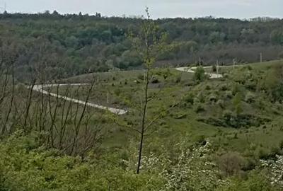 Teren în Gușoeni - 4