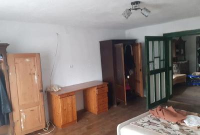 Casă cu Teren 1000 Mp în Pelișor - 2