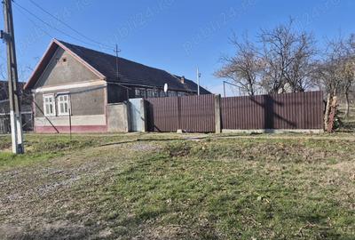 Casă cu 3 camere cu Teren 2880 Mp în Adea - 2