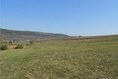 Teren de 3000 mp, în Rădaia