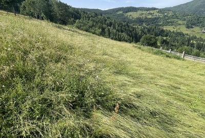 Casă cu 4 camere în Trifești - 3