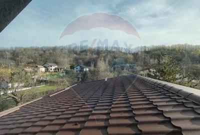 Proprietate premium, intimitate, liniste in Gura Vaii 4000 mp teren - 14