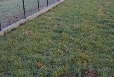 Vând teren intravilan la intrarea în Poplaca, pe drumul Sibiului. - 3