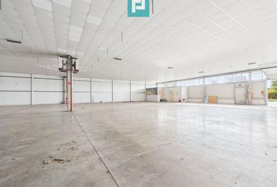 Spațiu industrial, de 1,332 mp, în Ghiroda - 4