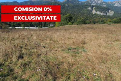 VANZARE TEREN INTRAVILAN SINAIA-CUMPATU Strada Zamora-9.801 mp-Comision 0% - 21