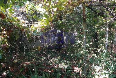 Casă cu 3 camere cu Teren 288 Mp în Eroii Revoluției - 3