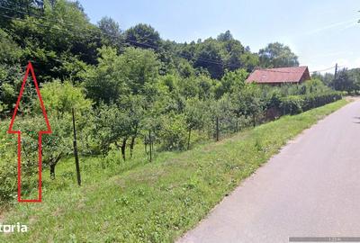 Teren de 1413 mp, în Vețel - 5