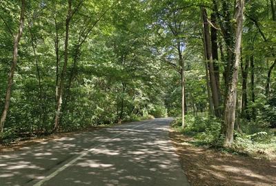 Teren în Izvorani - 2