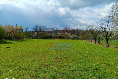 Casă cu 4 camere cu Teren 4239 Mp în Scobinți - 1