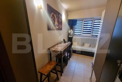 Garsoniera, 30 mp, zona Rovine - 7